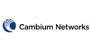 cambium